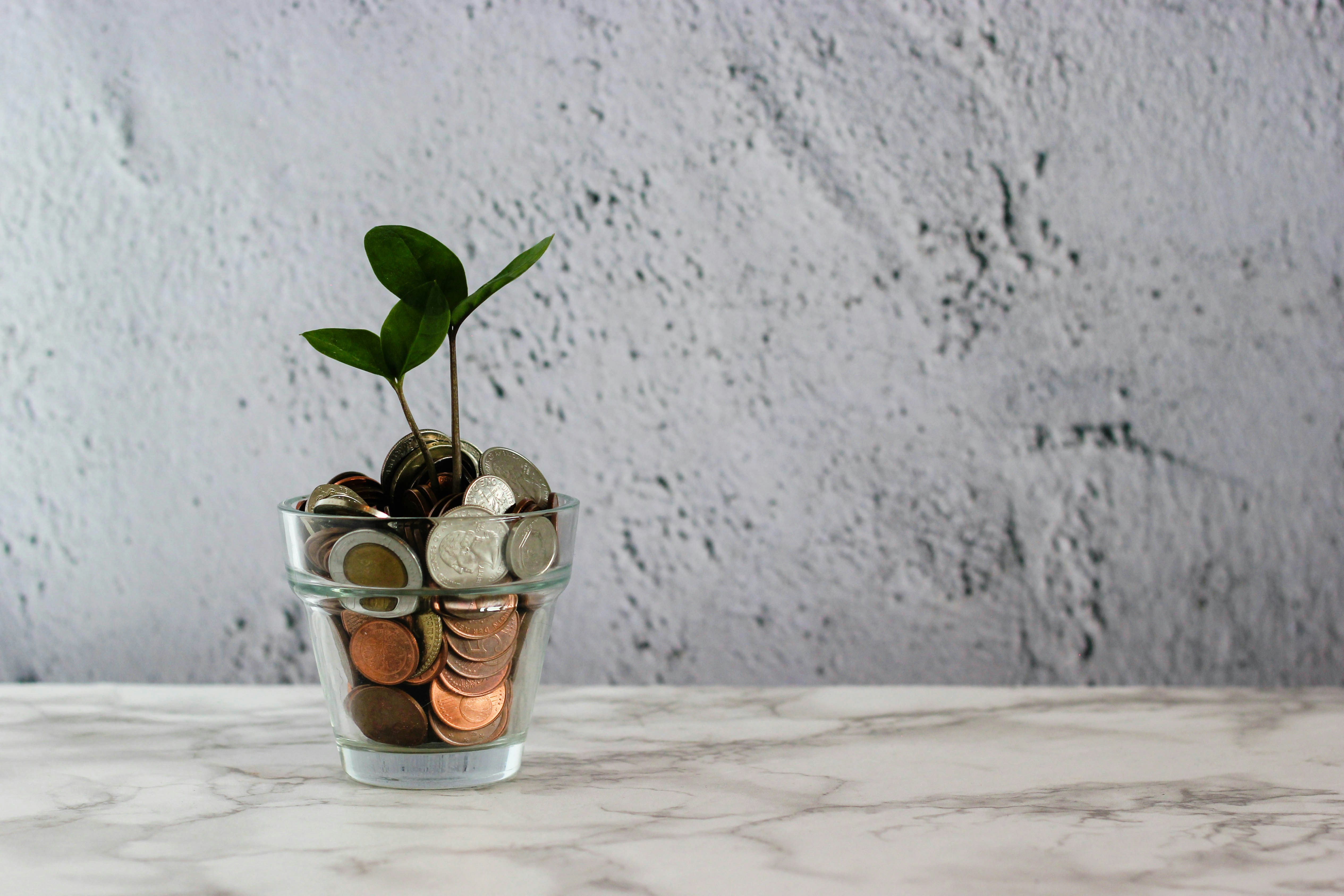 A small glass pot filled with coins, with a couple of green leaves growing from the coins.